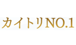 カイトリNo.1